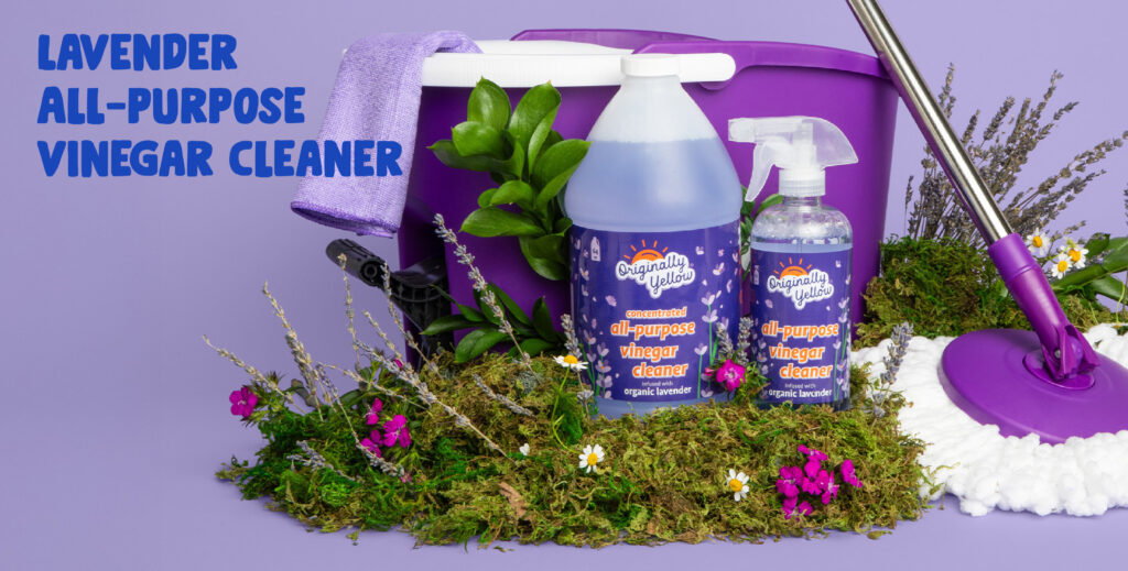 20250805 Store Front-03